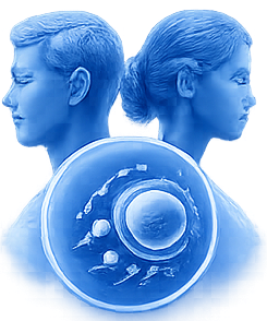 Infertility 